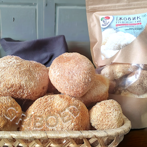 Гриби сухі цілі