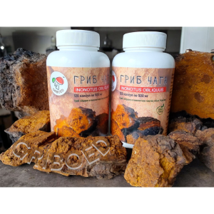 Дикорослі гриби мелені