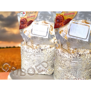 Для вирощування грибів