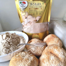 Їжовик гребінчастий - 200 грам. “ЗОЛОТА ЛІНІЯ“ - МАКСИМАЛЬНИЙ ЕФЕКТ! Висушений та перемелений.