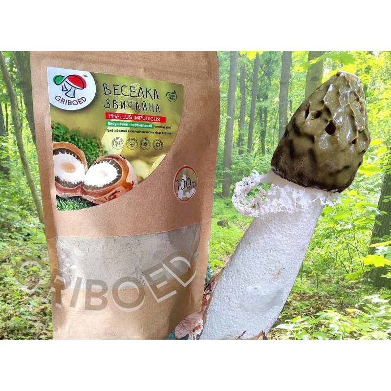 Гриб Веселка – 100 грам. Сухий, перемелений на порошок.
