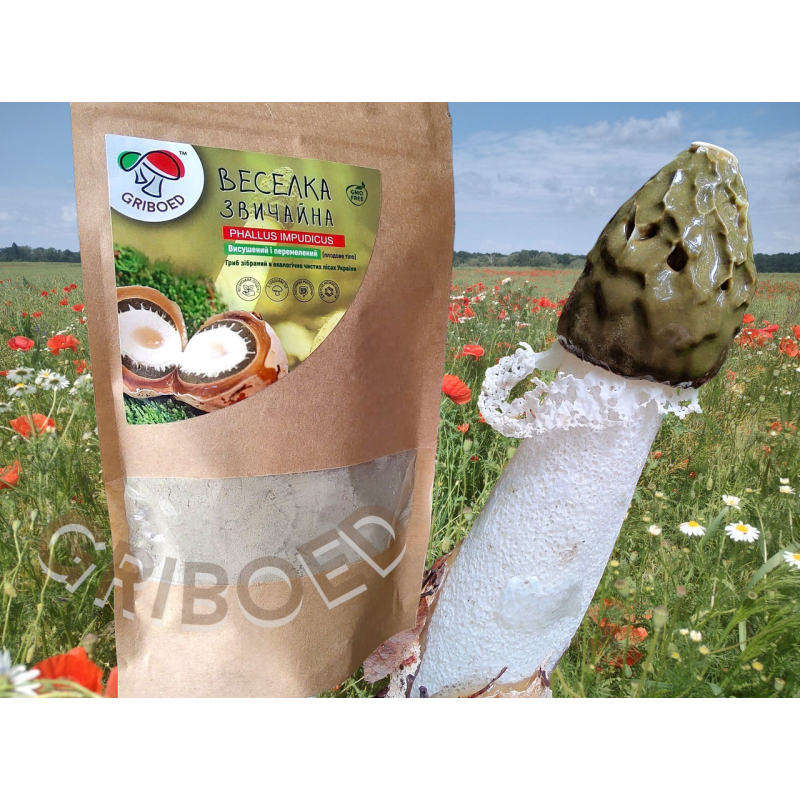 Веселка гриб – 250 грам. Сухий, перемелений на порошок.