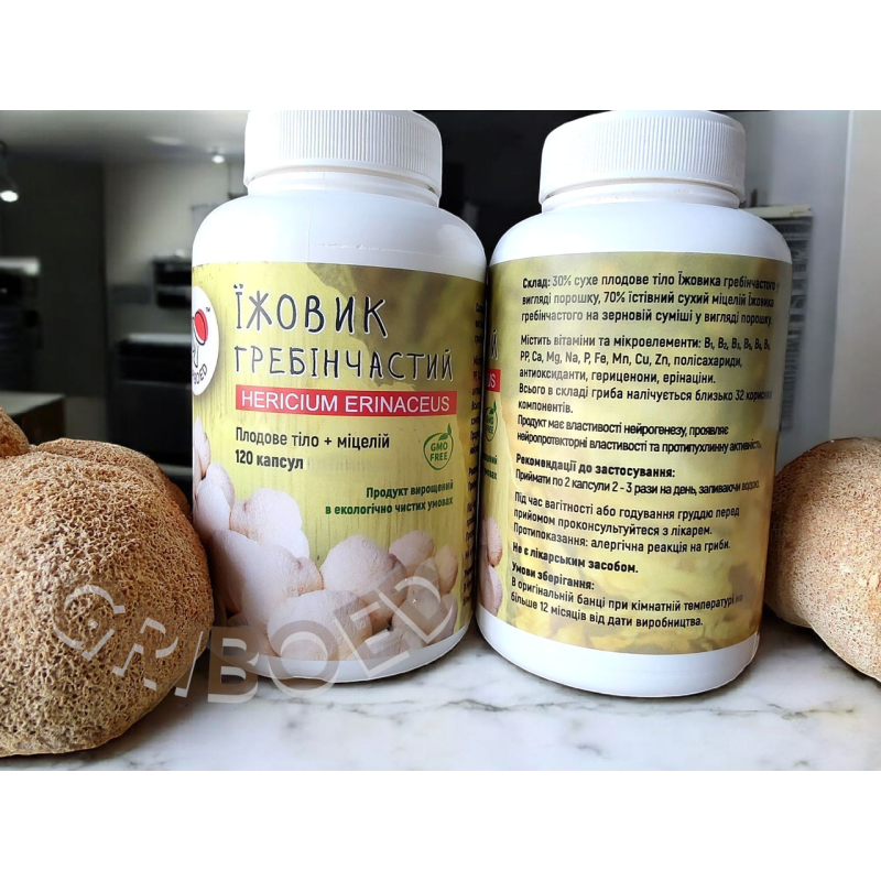 240 капсул (2 банки) ЇЖОВИКА ГРЕБІНЧАСТОГО - двомісячний курс!