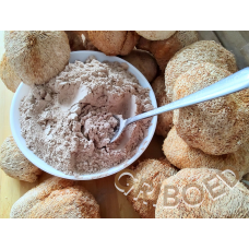 Їжовик гребінчастий (ферментований міцелій) - 100 грам.
