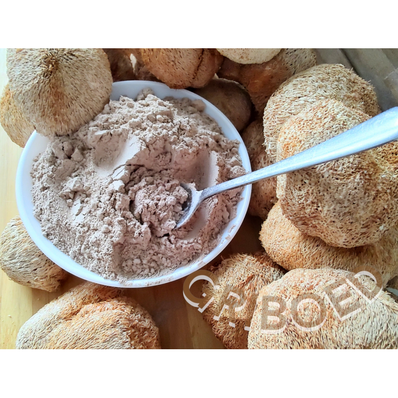 Їжовик гребінчастий (ферментований міцелій) - 100 грам.