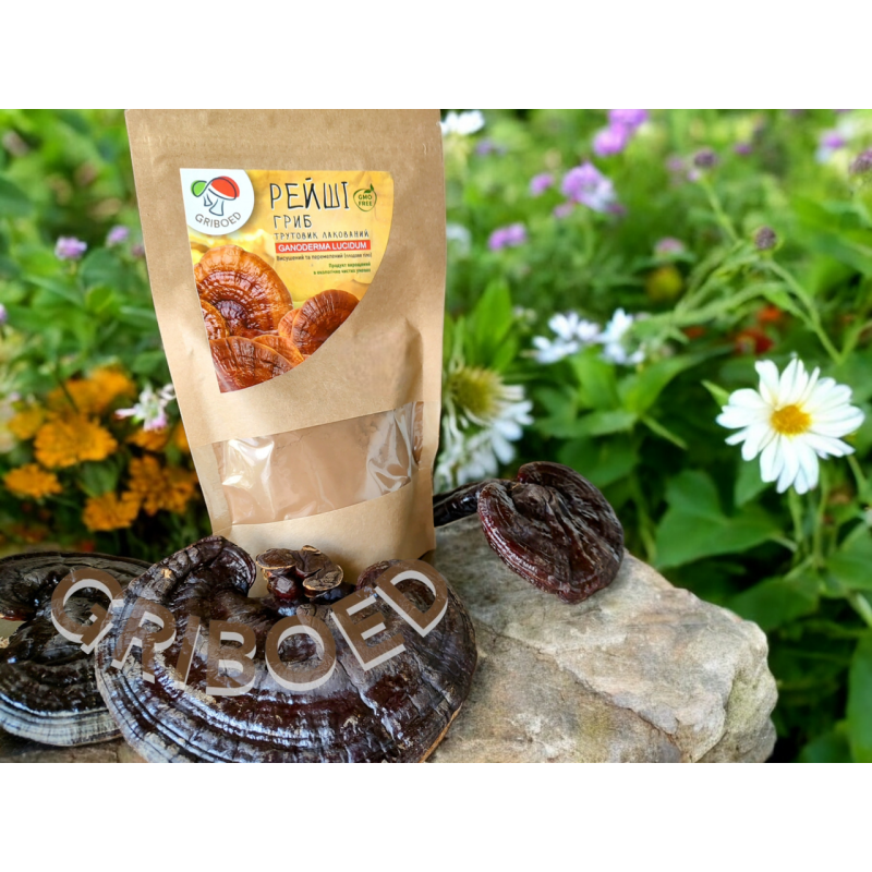 Гриб РЕЙШІ - 400 грам. Плодові тіла перемелені на порошок.