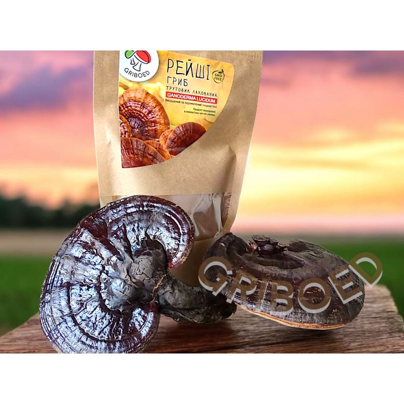 Гриб Рейші - 200 грам. Сухий, перемелений на порошок.